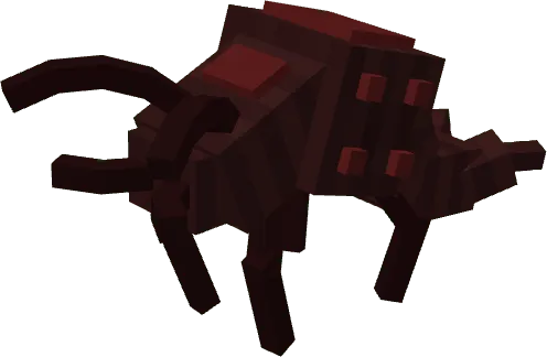 Parasite