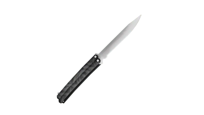 3D Model 2