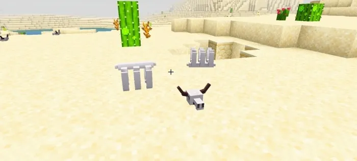 New Desert Decorations: Screenshot 2