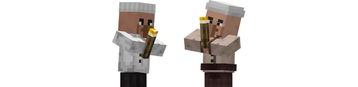 Villager Torch: Models
