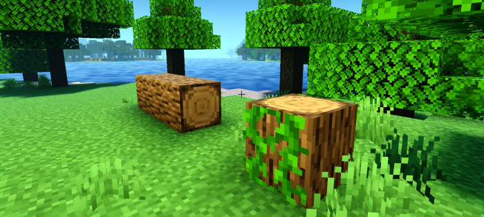 Round Logs: Screenshot 2