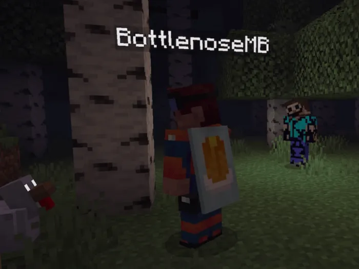 Who the Heck is following me? Screenshot 3