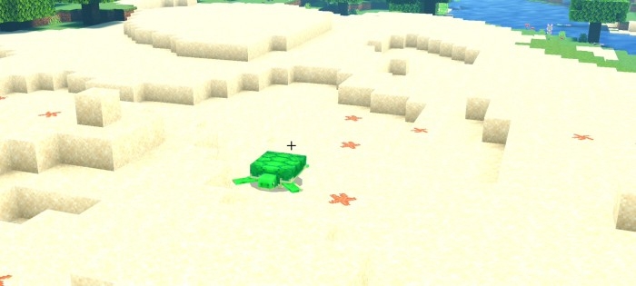 Beach: Screenshot