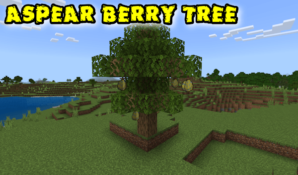 Aspear Berry Tree