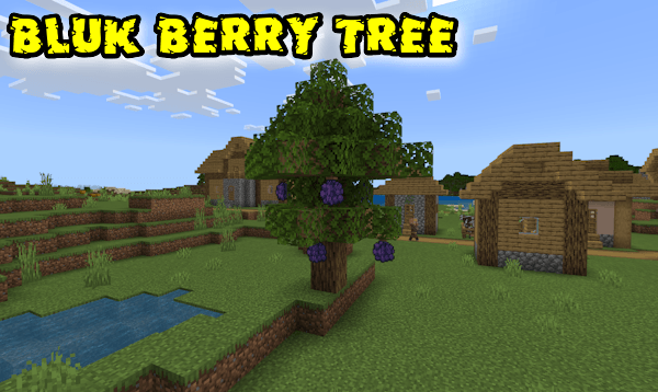 Aspear Berry Tree