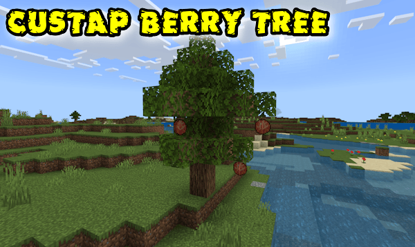 Aspear Berry Tree