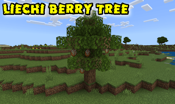 Aspear Berry Tree