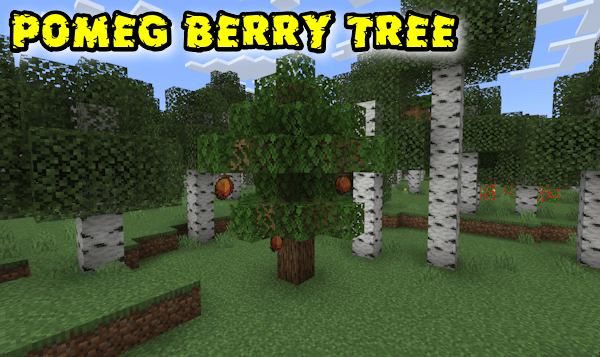 Aspear Berry Tree