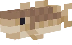 Fish Vehicle