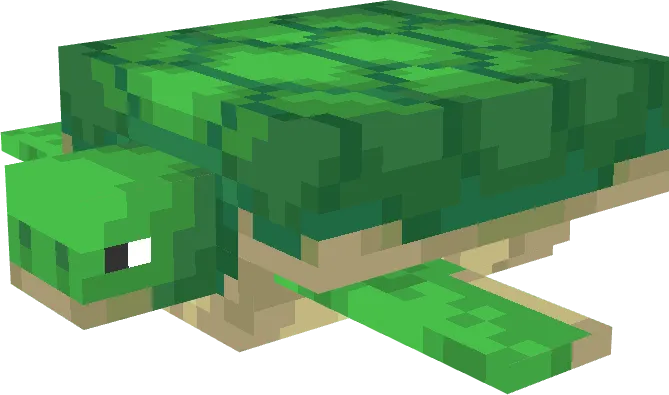 Turtle Vehicle