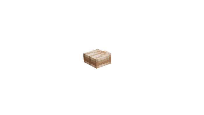 Clam Model