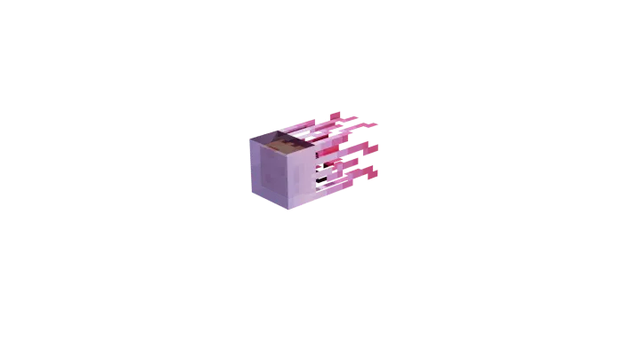 Jellyfish Model