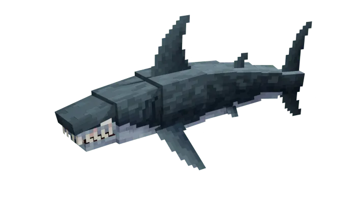 Shark Model