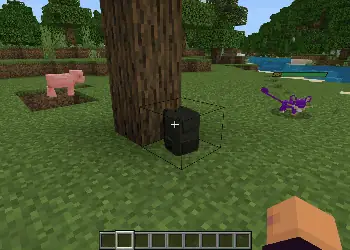 Lost Backpacks
