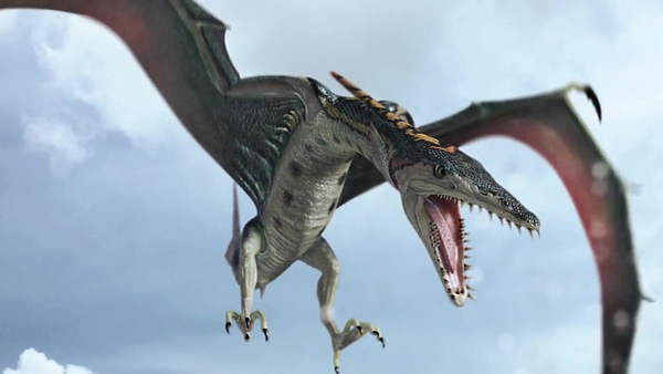 Pteracuda: Original