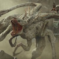 White Thorn: Original
