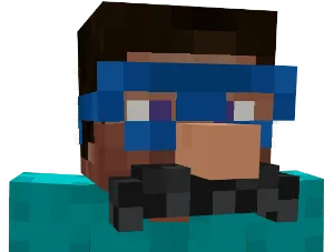 Steve with Disguise