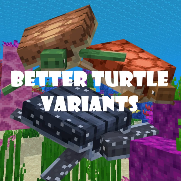 Better Turtle Variants Logo