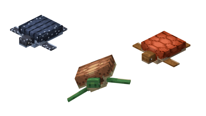 Better Turtle Variants Models