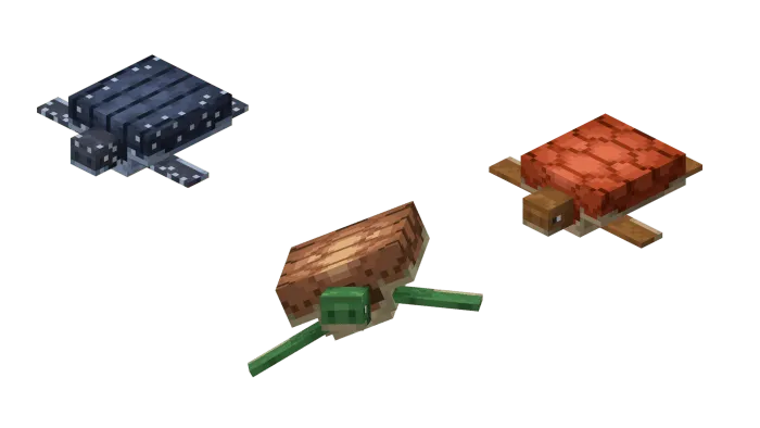 Better Turtle Variants Models