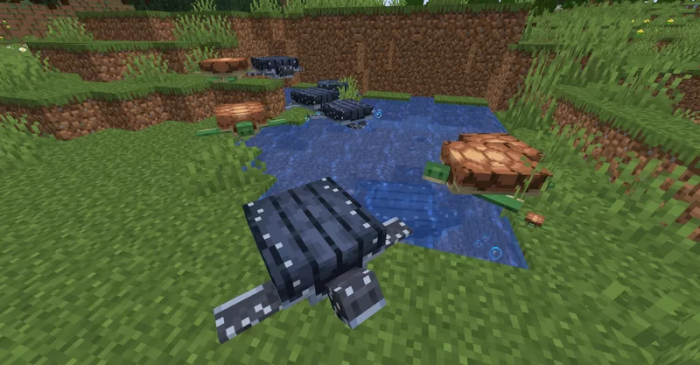 Better Turtle Variants: Screenshot 2