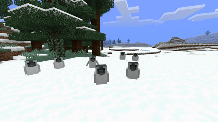 Penguins: Screenshot