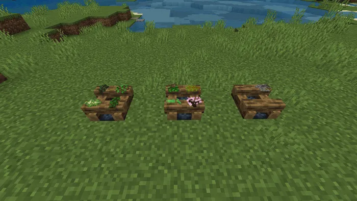 Cooking Saplings: Screenshot 2