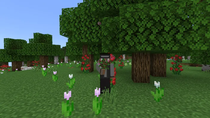 Eating Sapling Remaster: Screenshot 3