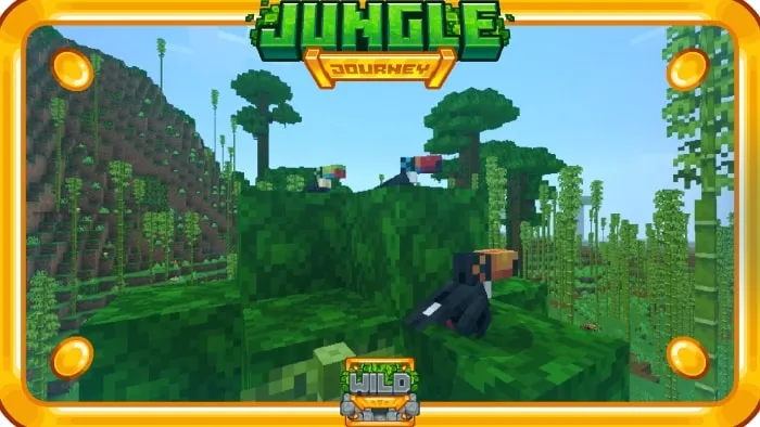 Toucans: Screenshot