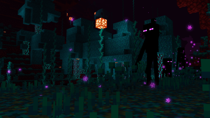 The Nether Dimension: Screenshot 2