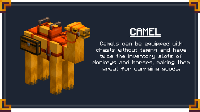 Camel Saddlebag Info