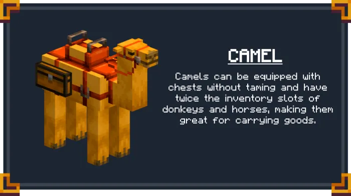 Camel Saddlebag Info