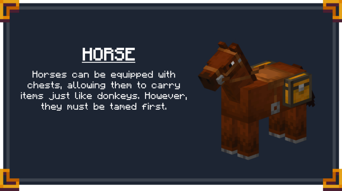 Horse Saddlebag Info