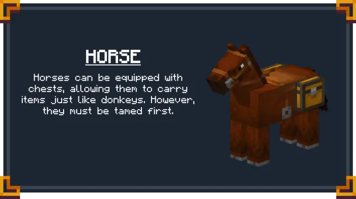 Horse Saddlebag Info