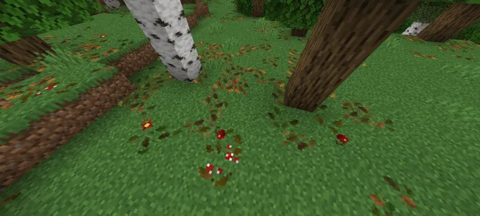 Varies Leaf Litter: Showcase 2