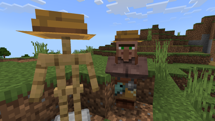 Villager Hat: Screenshot 3