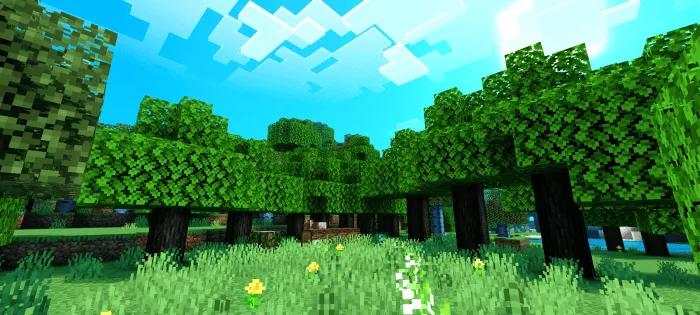 Newb X Ale Renewed - Day: Screenshot