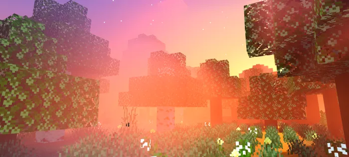 Newb X Dragon Lite - Sunset: Screenshot