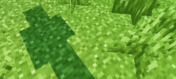 Player Shadow: Screenshot