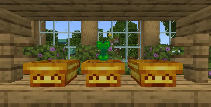 Golden Pots: Screenshot