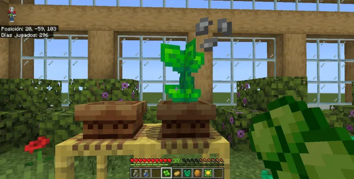 Grown Sprout: Screenshot