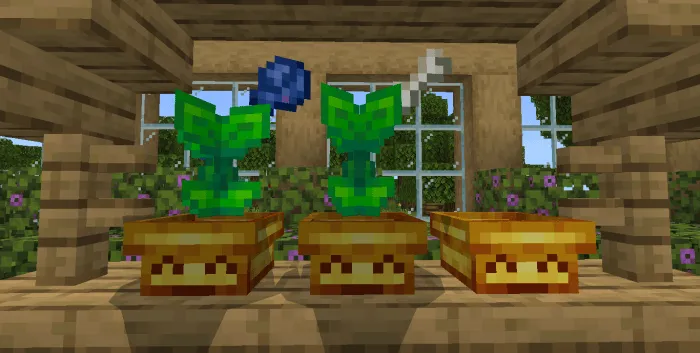 Grown Sprouts in Golden Pots: Screenshot