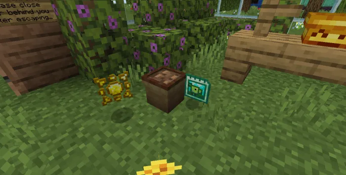 Pet Pot: Screenshot