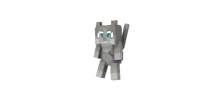 Puck Animation