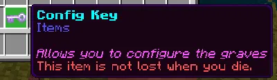 Config Key Item