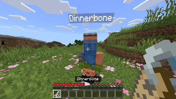 Nameable Players screenshot №1
