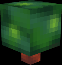 Hedge Block