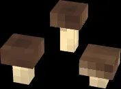 Mushrooms 2