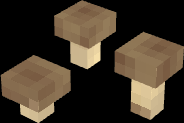 Mushrooms 3