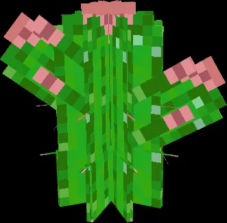 New Cacti Plant 1